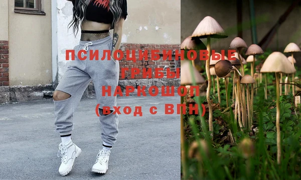 МДПВ Вяземский