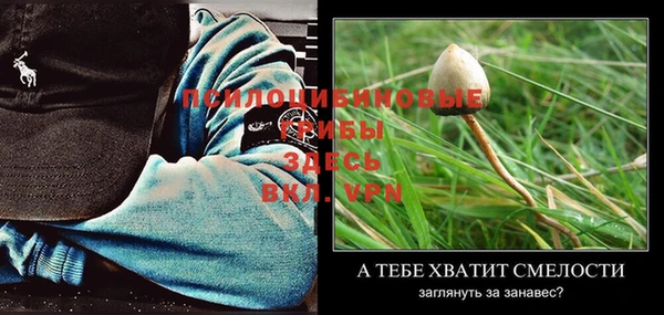 МДПВ Вяземский