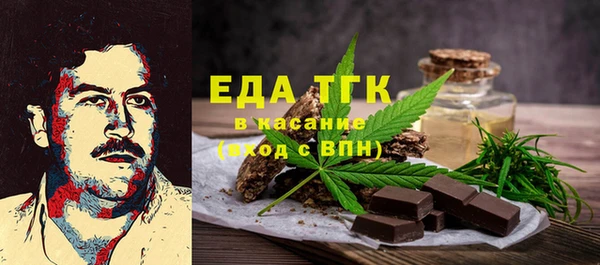 крисы Ельня
