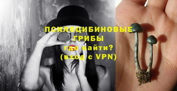 МДПВ Вяземский