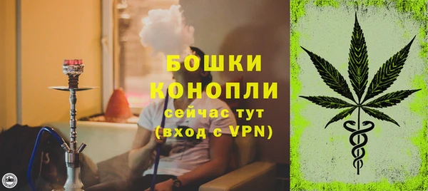 МДПВ Вяземский