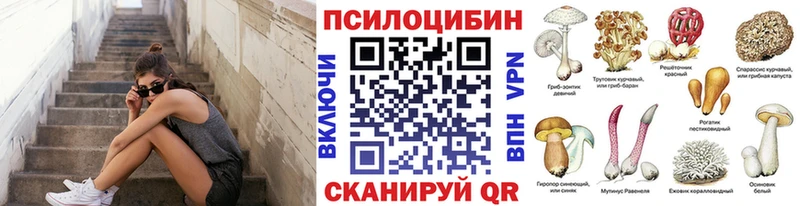 Купить  Кузнецк  Псилоцибиновые грибы Cubensis 